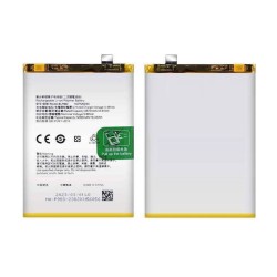 Realme 10 5G Battery Module