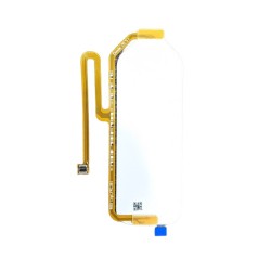 Asus ROG Phone 5 Backlight Flex Cable Module