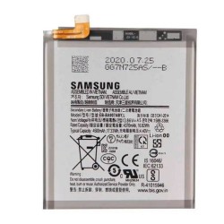 Samsung Galaxy S10 Lite Battery Replacement Module