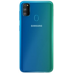 Samsung Galaxy M30s Rear Housing Panel Module - Blue