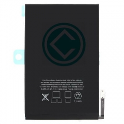 Apple iPad Mini Battery Replacement Module