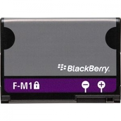 Blackberry 9800 Torch Battery Module