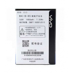 Vivo Y15s Battery Module